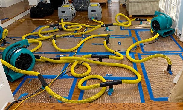 Professional Water Extraction technician working in Wabasso, FL